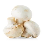 Goldmarie Weiße Champignons mittel